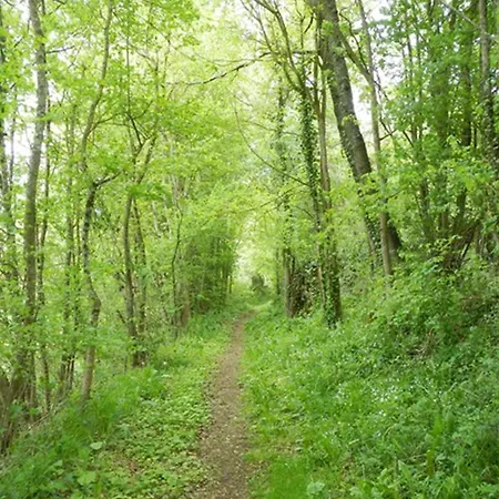 Campagne - Vue Pyrenees - Piscine בית כפרי Sajas