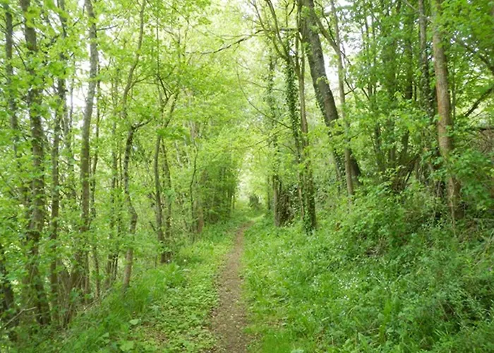 Campagne - Vue Pyrenees - Piscine בית כפרי Sajas